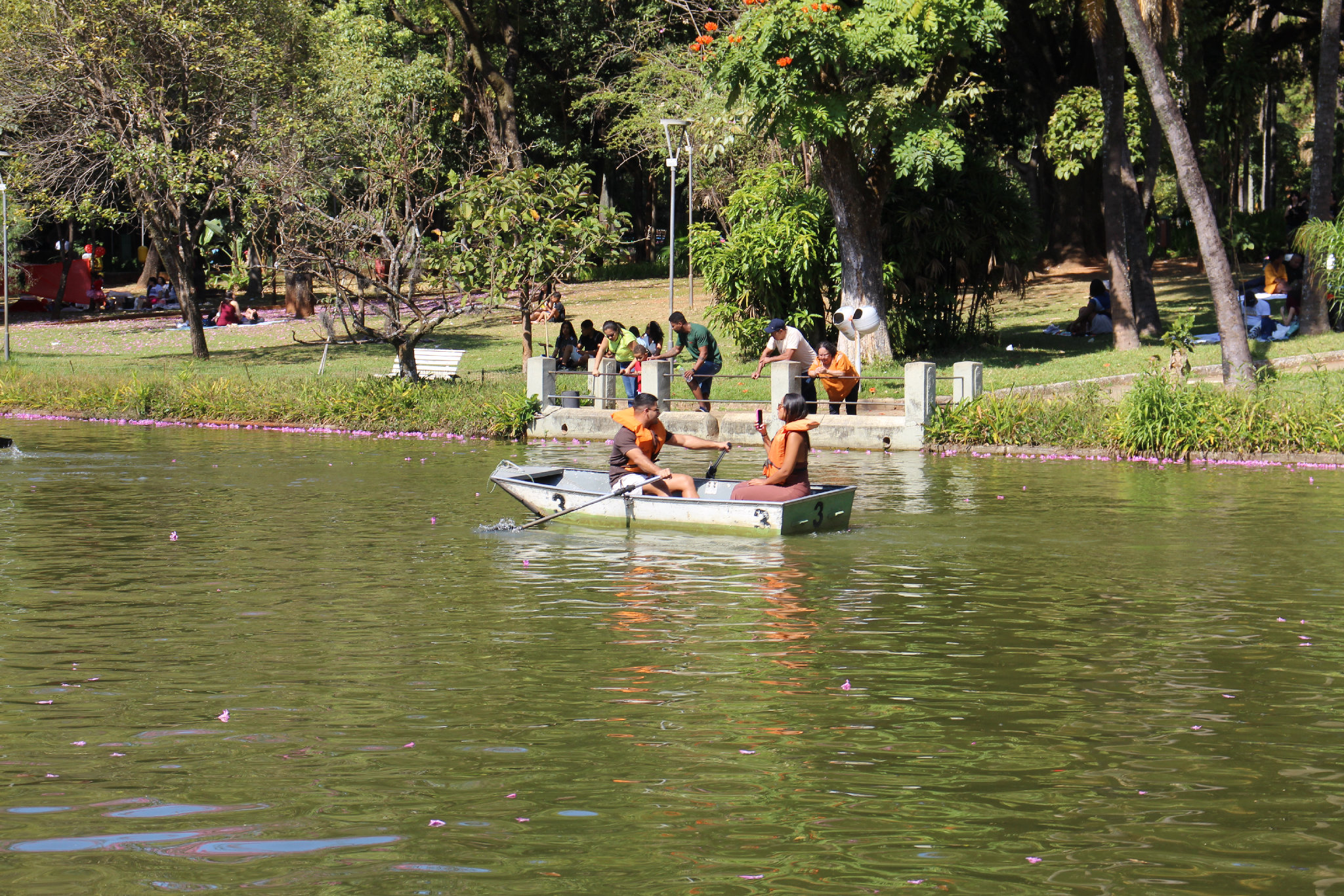 Parque Municipal - BH - Imagem 10