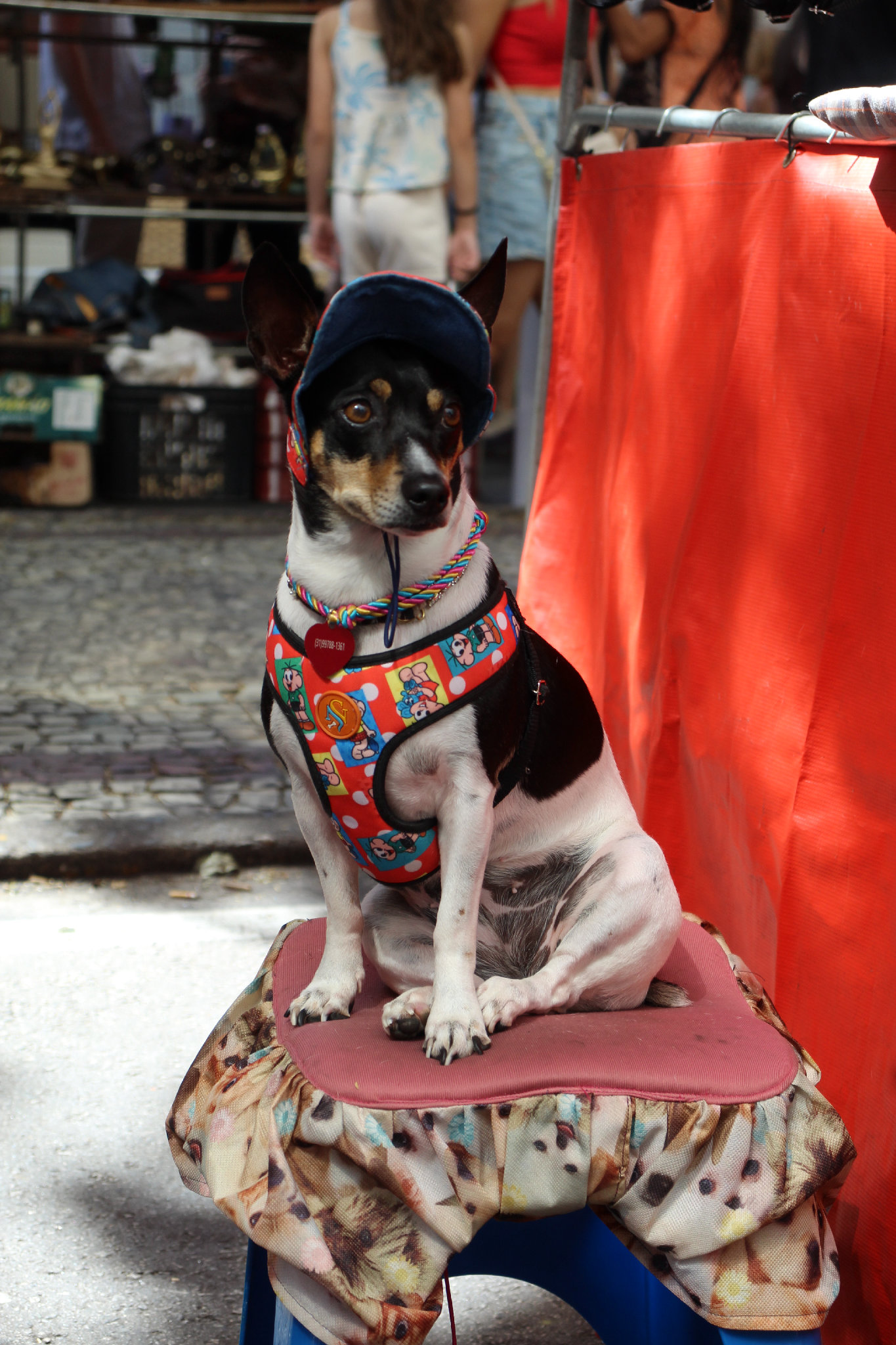 Feira Hippie - BH